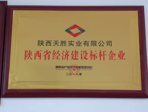 陕西省经济建设标杆企业